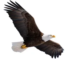 Schoo Logo Image Goes Here