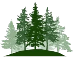 Schoo Logo Image Goes Here