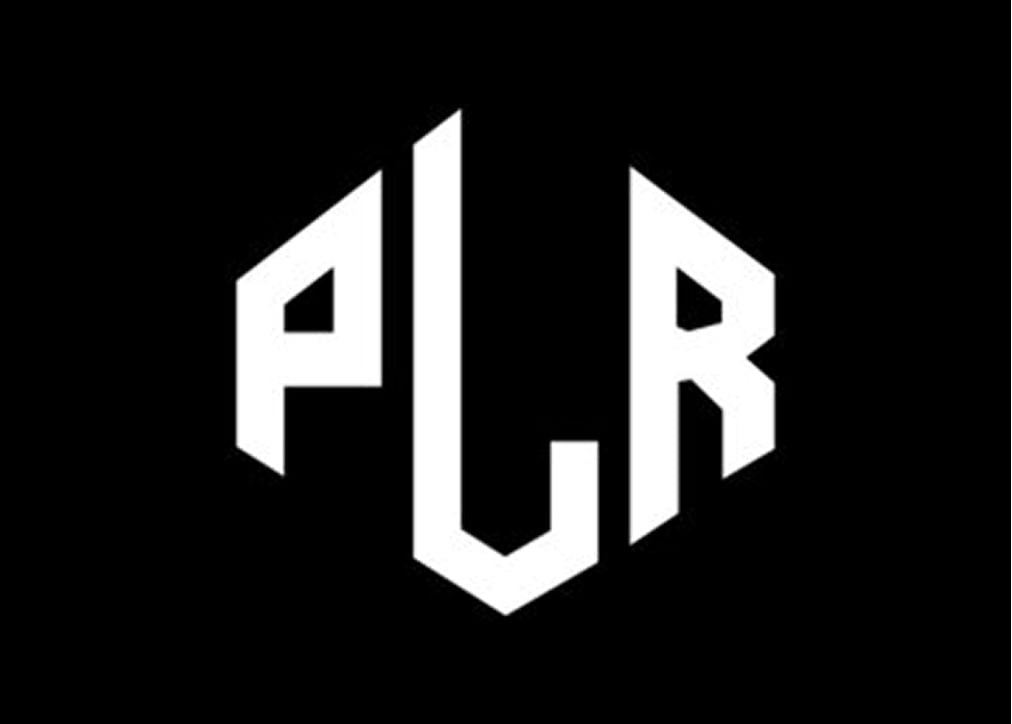 Boosting Engagement: How PLR Content Can Transform Your