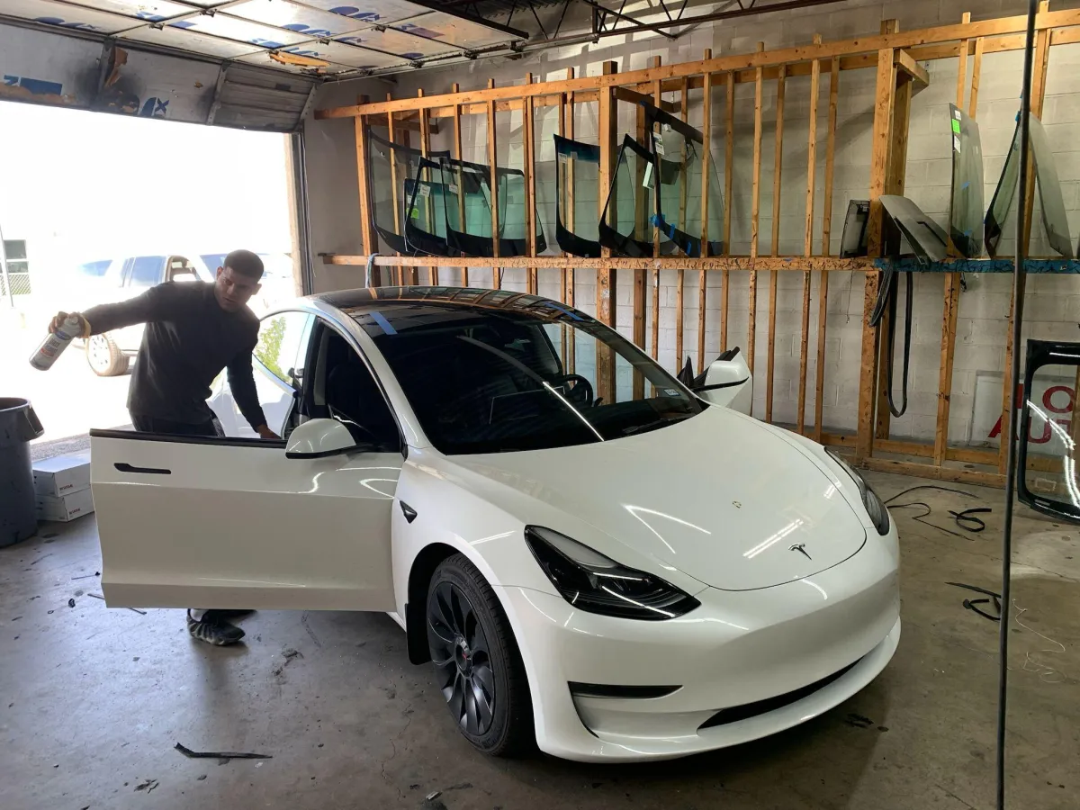 a bird sitting on the dashboard of a car