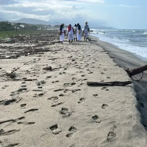Group of wiw people leaving a acre site