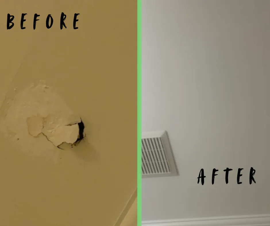 Affordable painting solutions with premium results