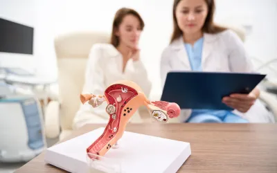 Image of a doctor looking at the model of a uterus explaining a baseline follicle count transvaginal ultrasound.