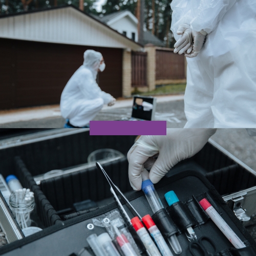 Dermocosmetic trainees practicing protocols in a bright training studio with instructor guidance.