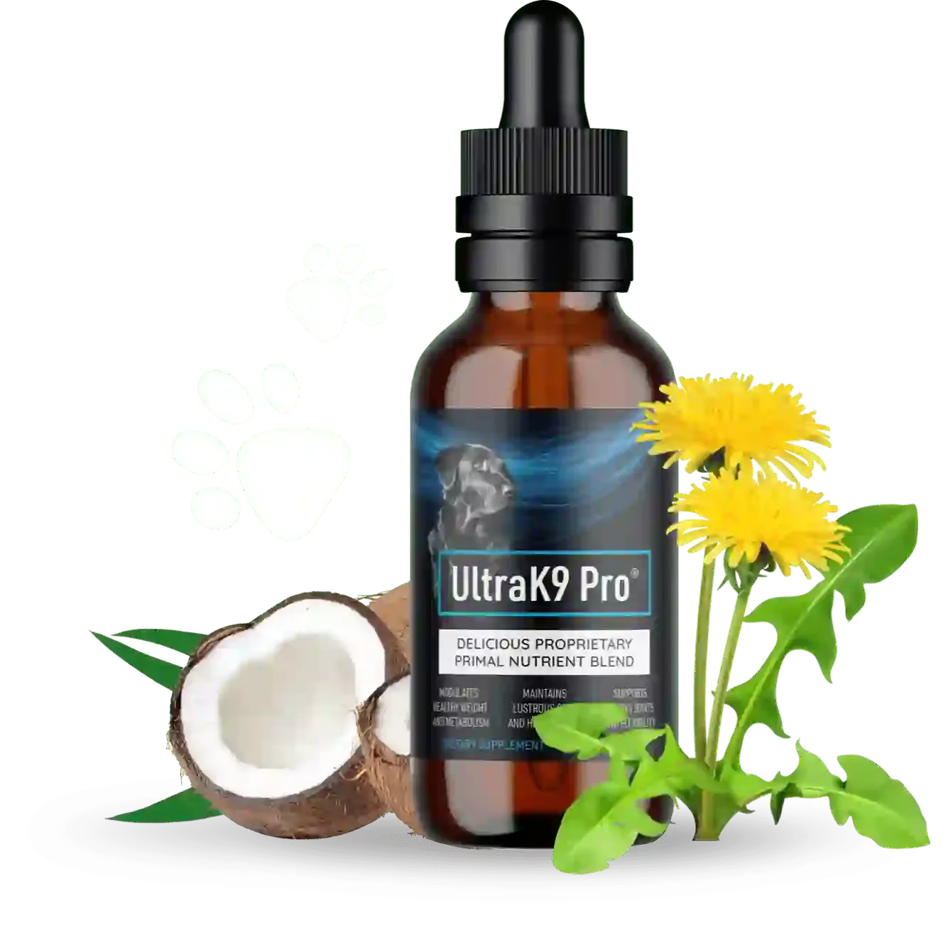 UltraK9 Pro buy