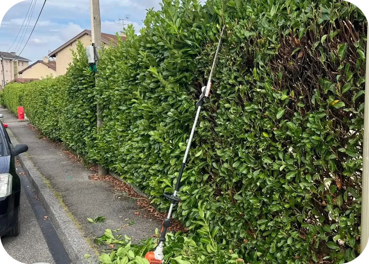 Photo d'une taille-haies électrique de haute qualité, pour un jardinage fait correctment avec précision et dans les meilleurs délais.