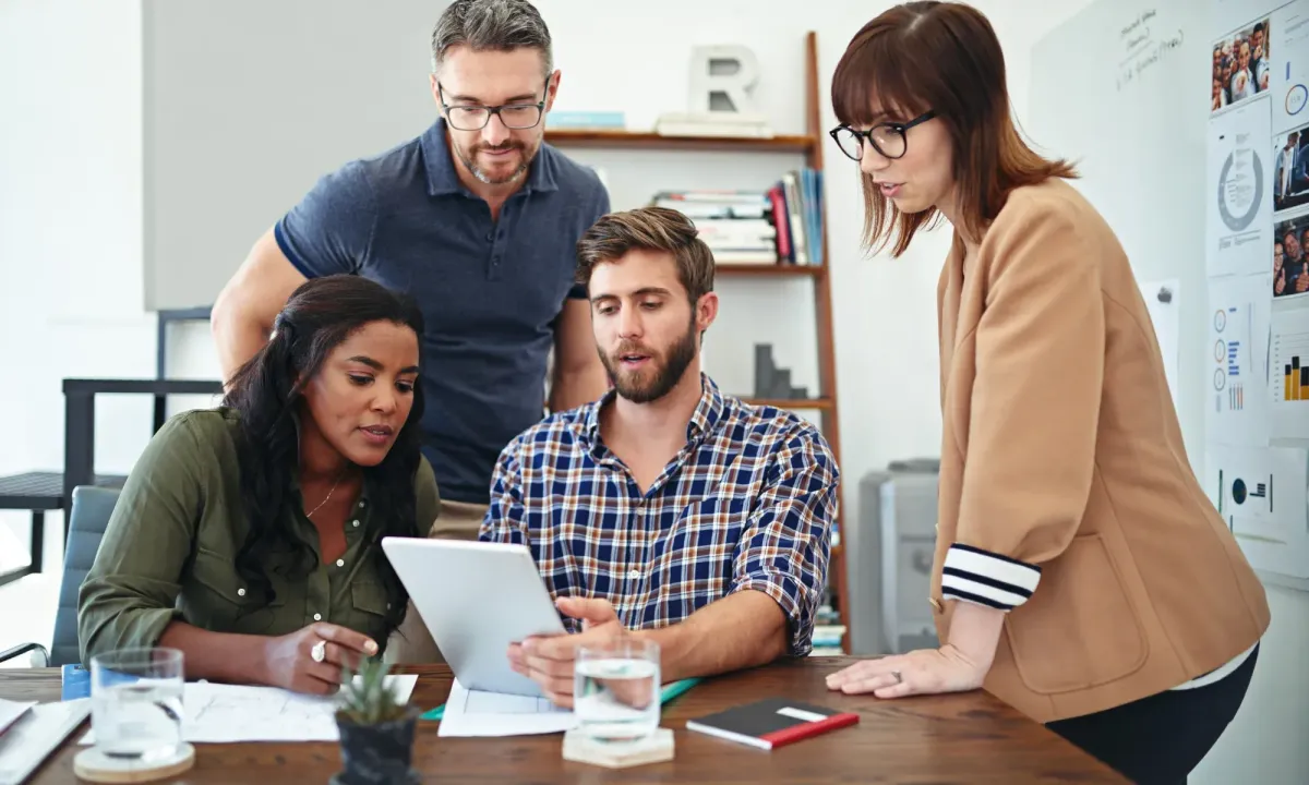 blue and green peacock feather