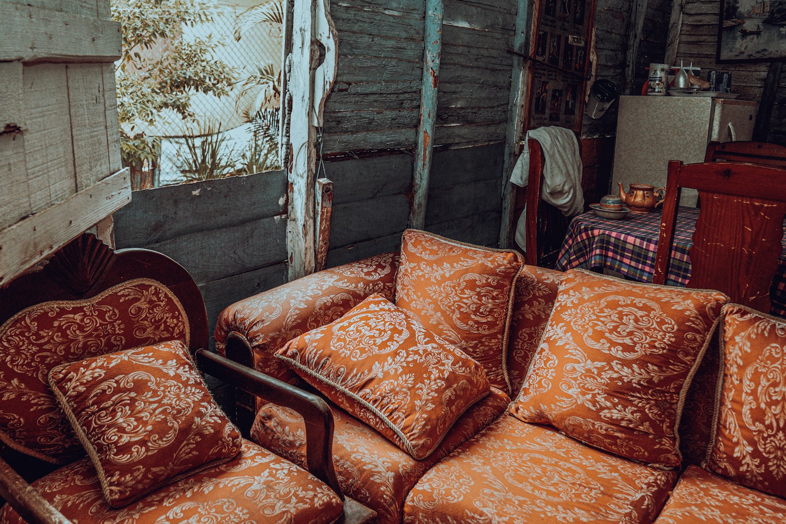 Furniture Removal for Families With Pets in Buda, TX — Complete 2026 Pet-Safe Cleanup Guide