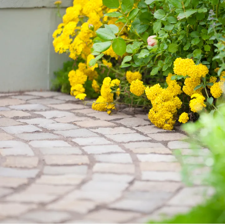 Modern patio pavers