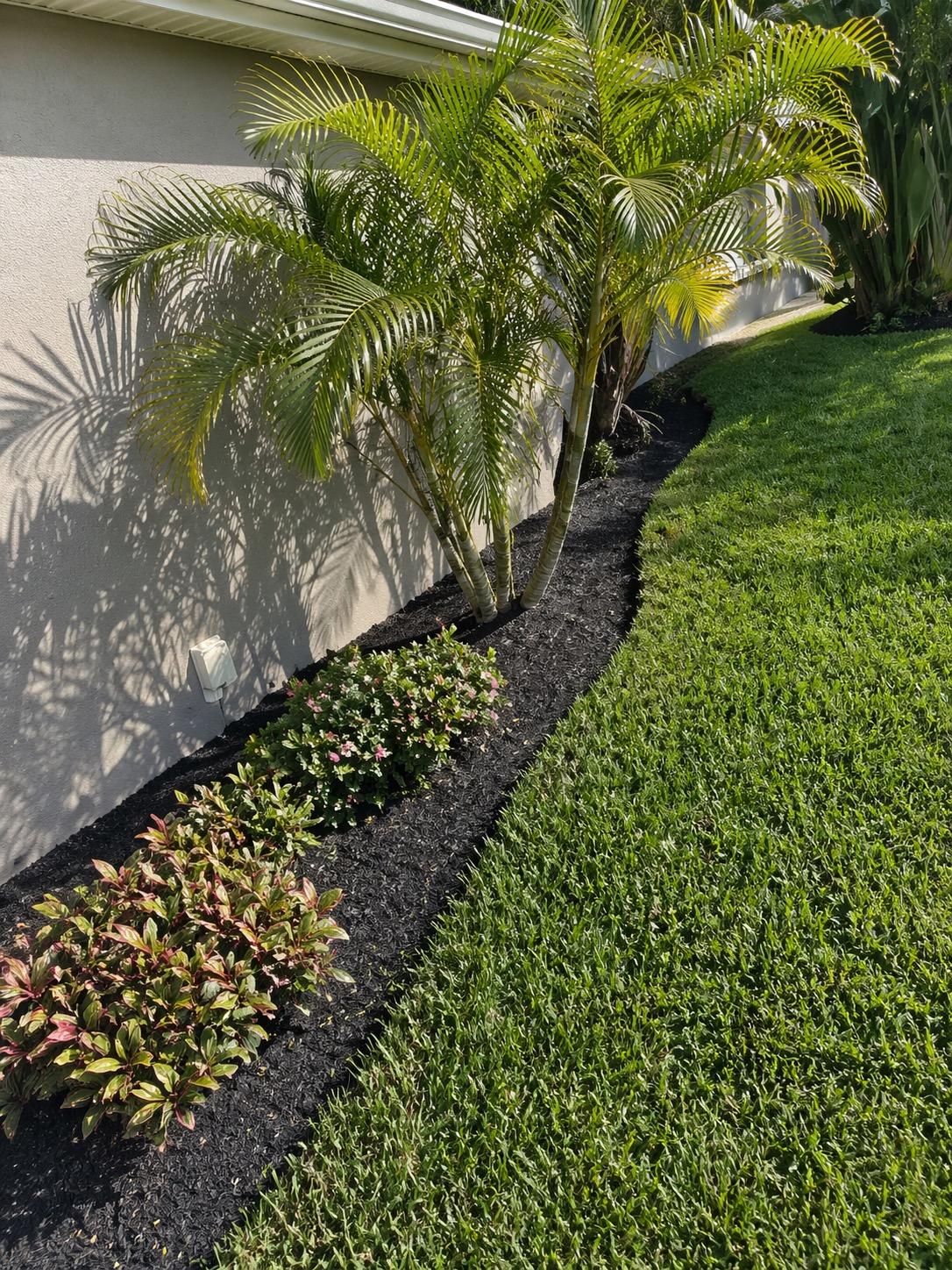 Landscape enhancement with areca palm trees, flowering plants, black mulch beds, and lush green turf at a residential property
