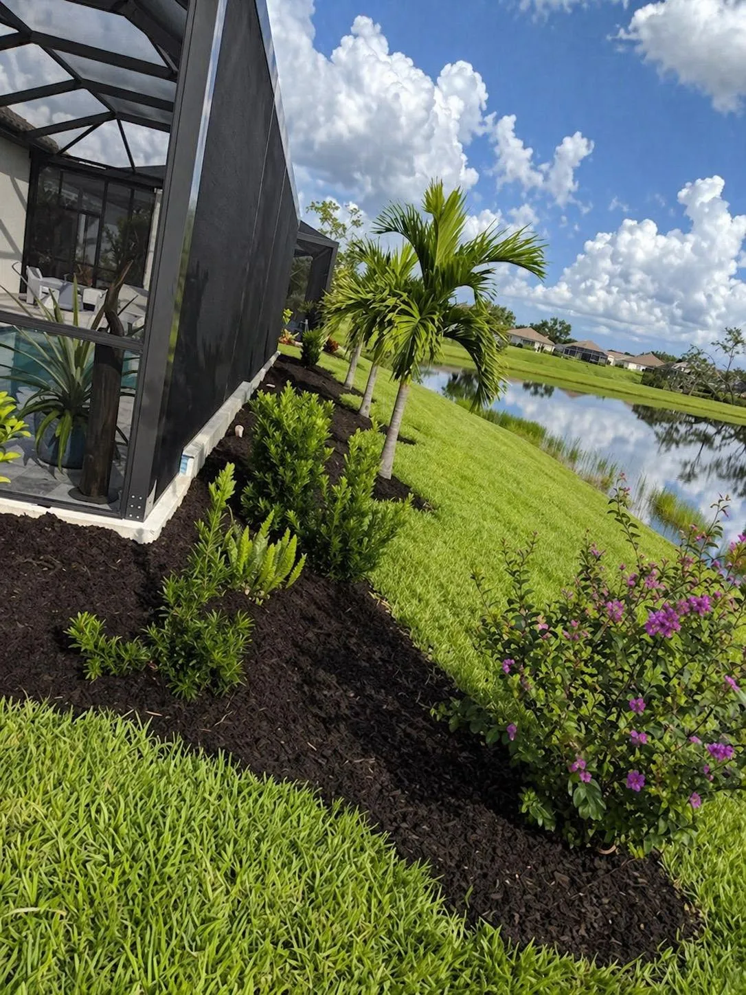 Professional landscape installation with palm trees, fresh mulch, flowering shrubs, and lush sod at a waterfront home