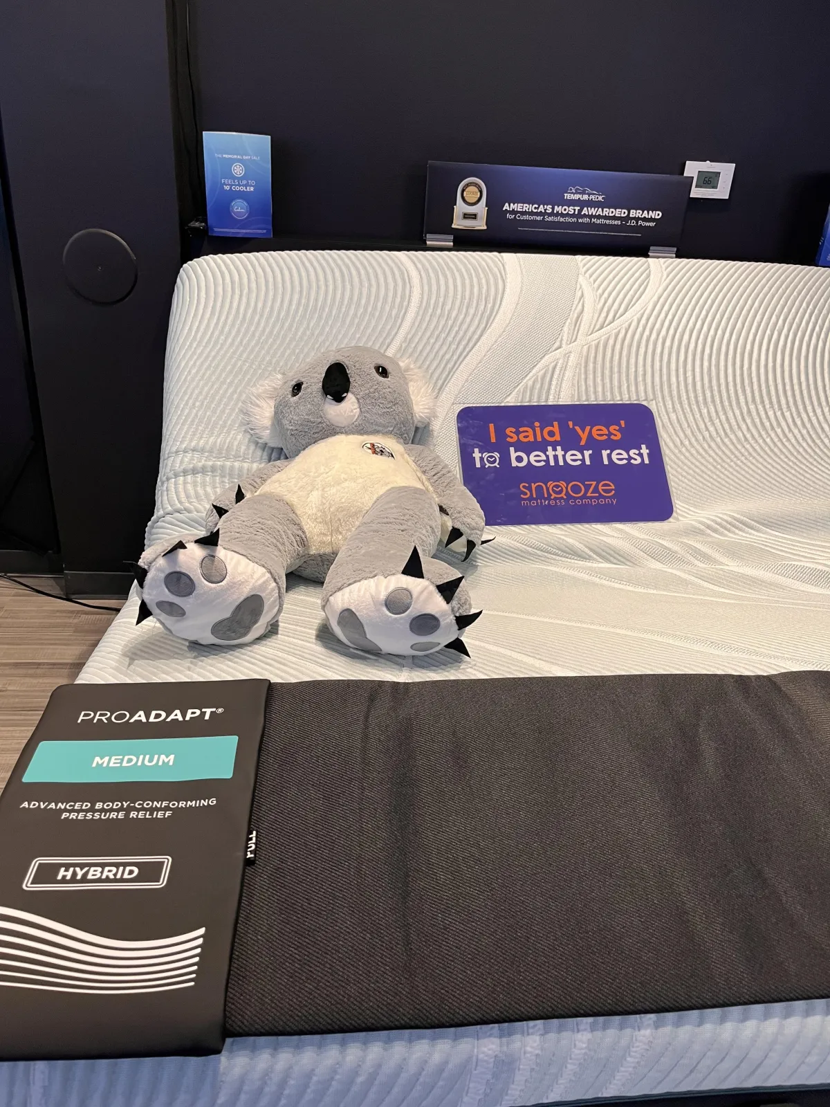 Snooze Sleep Coaches Pressure Mapping