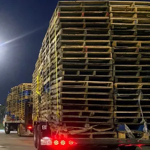 Two large trucks angled from he rear, each with a very large load of hundreds of wooden pallets.