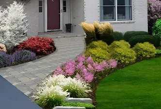 Serene image of a lawn freshly cut and beautiful autumn leaves on several trees in the background