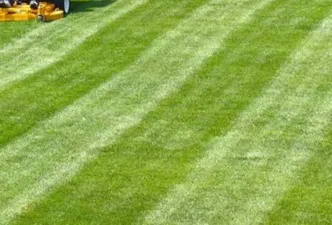 Serene image of a lawn freshly cut and beautiful autumn leaves on several trees in the background