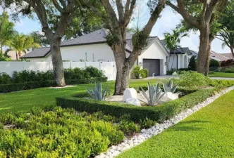 Serene image of a lawn freshly cut and beautiful autumn leaves on several trees in the background
