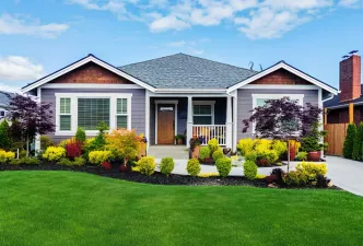 Serene image of a lawn freshly cut and beautiful autumn leaves on several trees in the background
