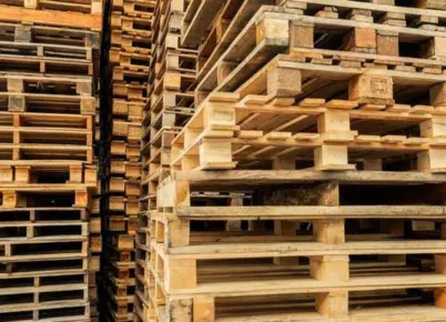 Two large trucks angled from he rear, each with a very large load of hundreds of wooden pallets.
