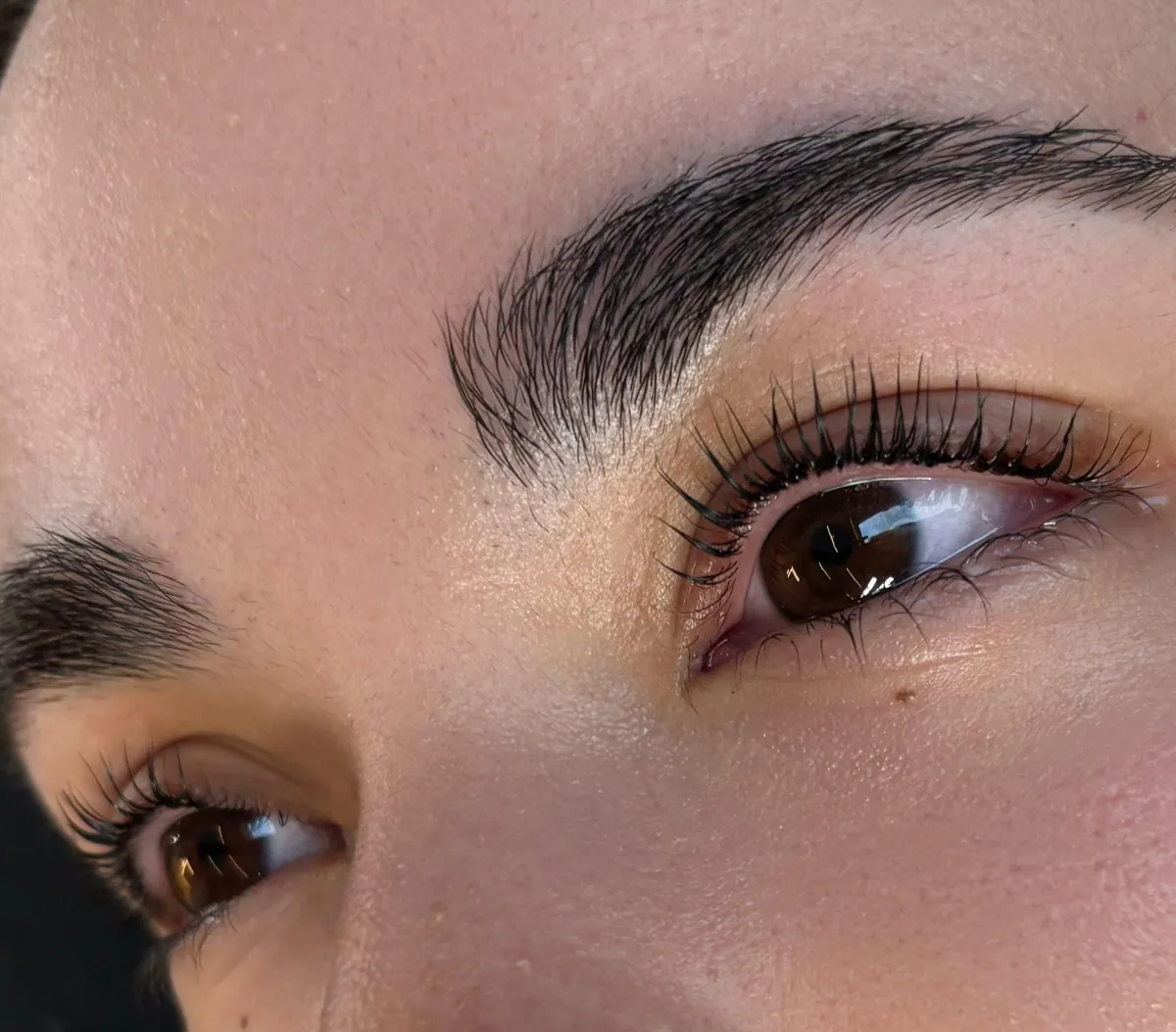 Macro shot of a laminated eyebrow arch with fine hair detail visible, warm softbox lighting, neutral background, composition focuses on shape and texture clarity for portfolio emphasis.