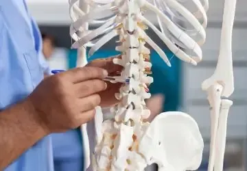How Chiropractic Works at The New Life Chiropractic Center in Frederick, MD.