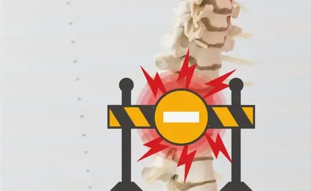 chiropractor for spinal health in Frederick, MD.