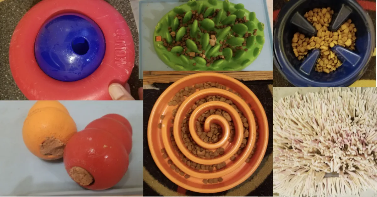My Dog and Her Pals Tested Nearly 2 Dozen Slow Feeders and Food Toys. These Are the Winners.