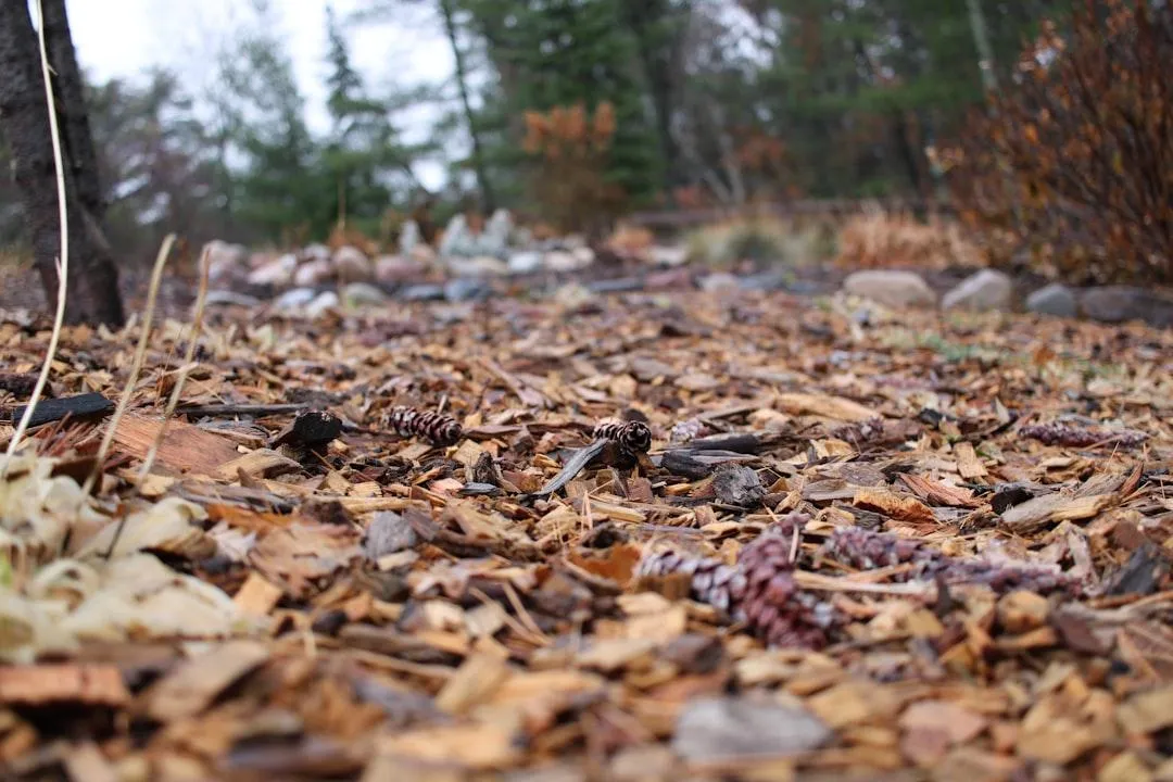Mulching Services