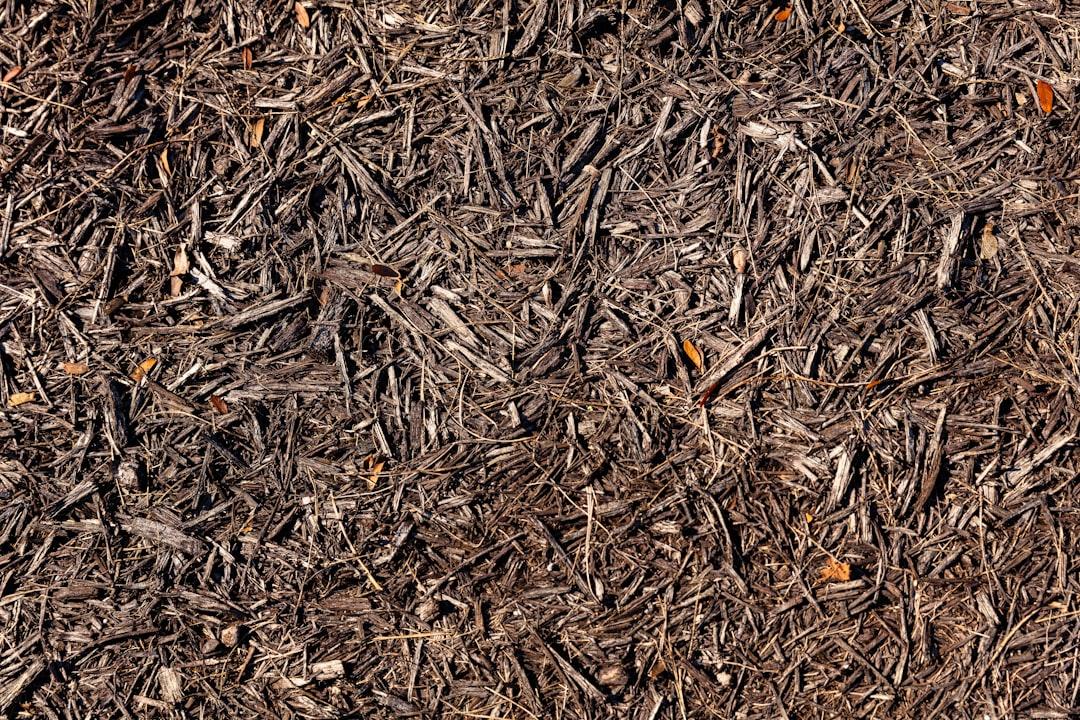 Mulching Services Round Rock, TX
