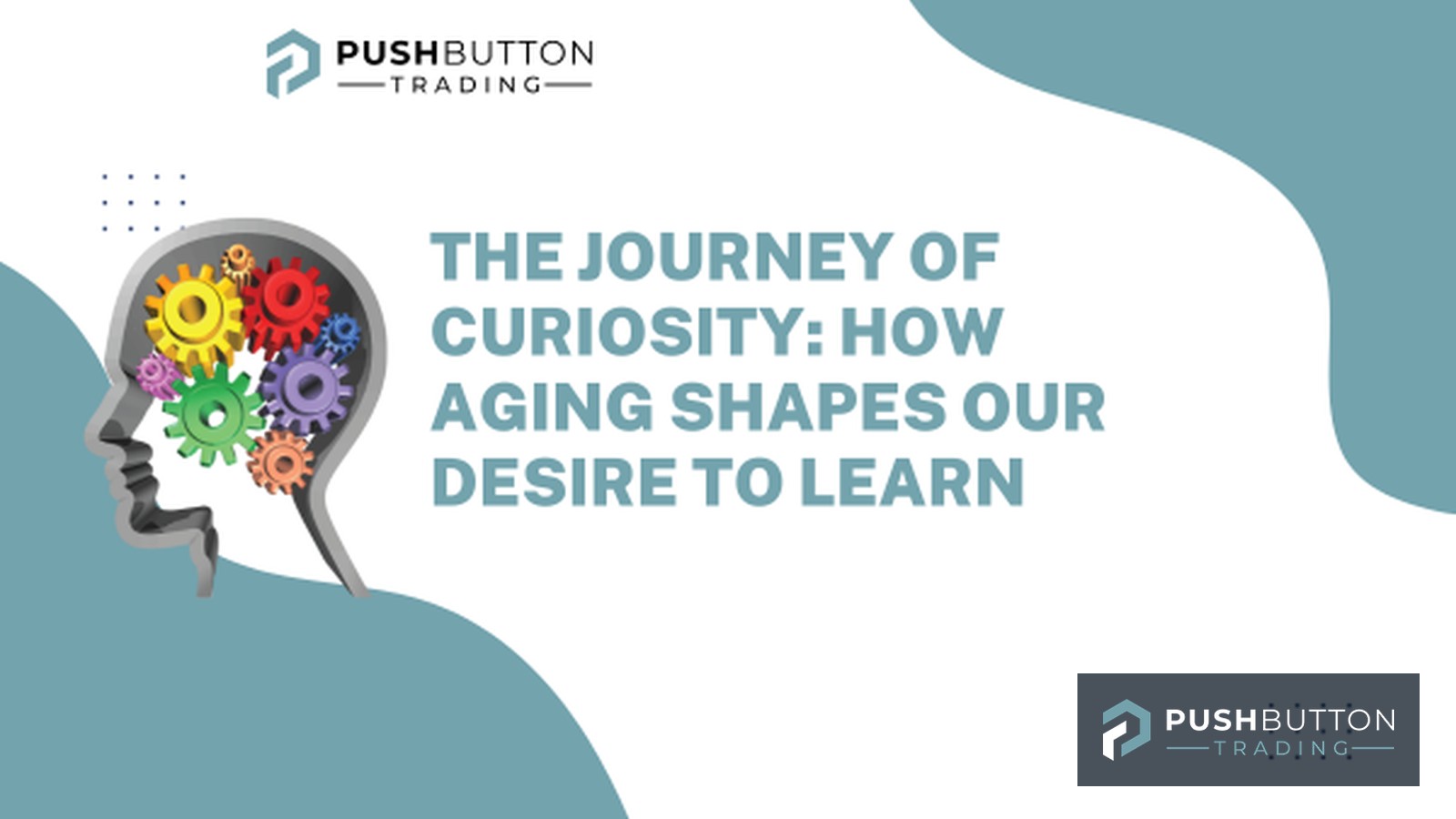 The Journey of Curiosity: How Aging Shapes Our Desire to Learn