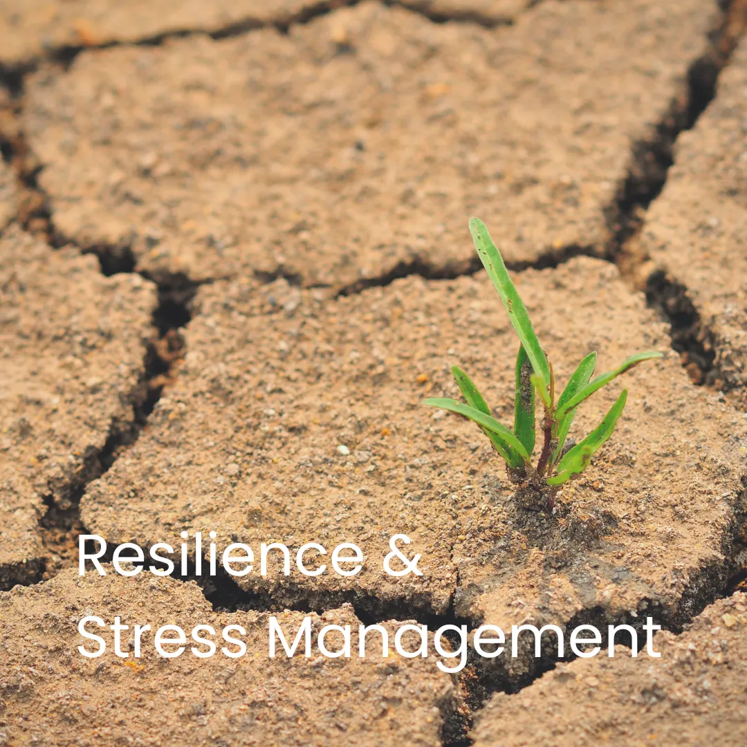 Resilience & Stress Management Blog Button