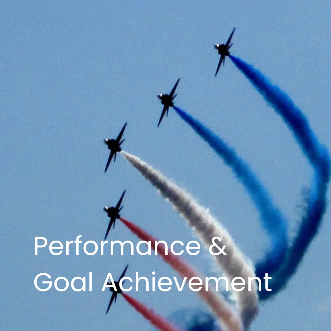 Performance & Goal Achievement Blog Button