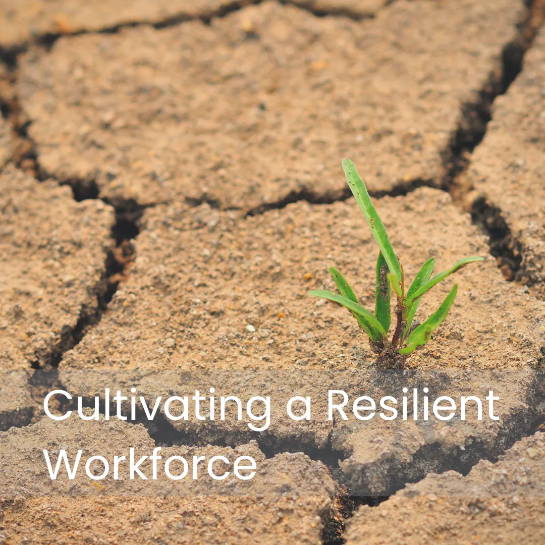 Resilience & Stress Management Blog Button