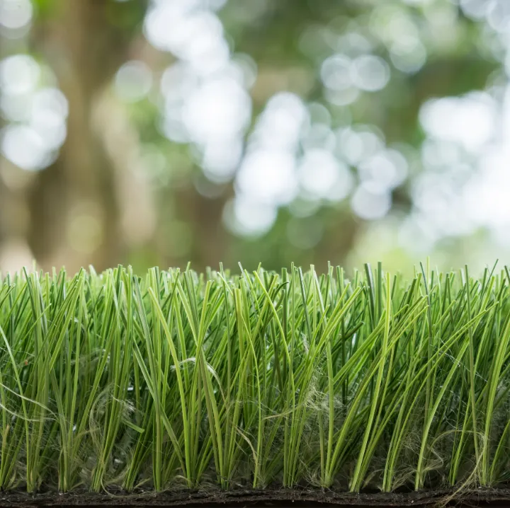 Artificial Turf