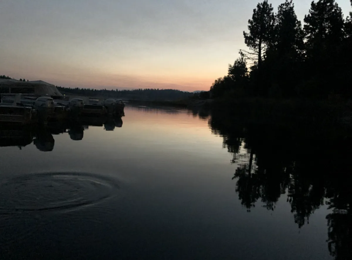 The Ripple Effect