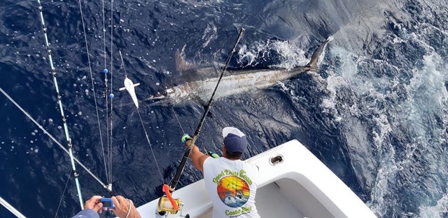 Excellent blue marlin catch with Good Day Team