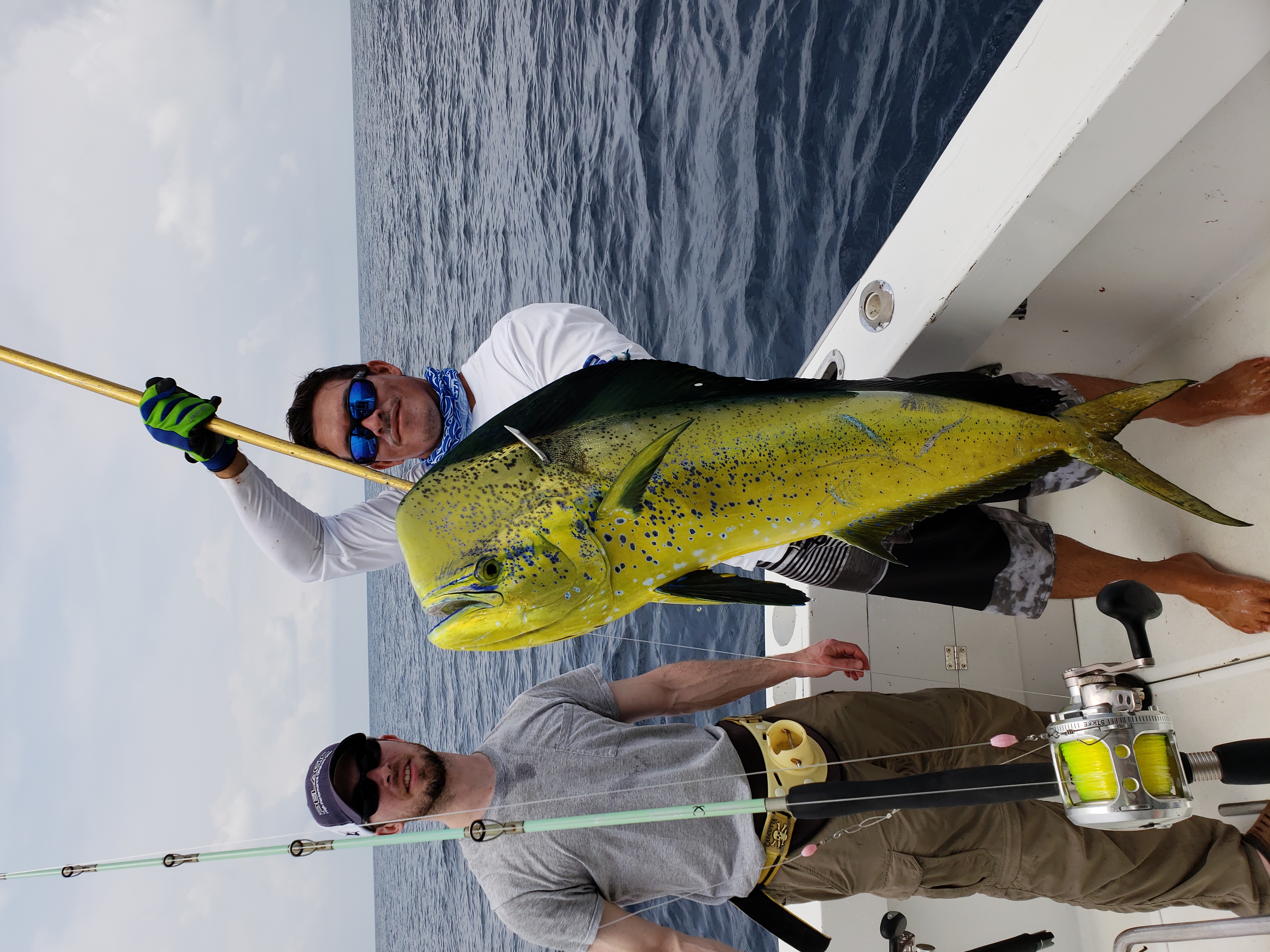 Mahi Mahi (Dorado) in Los Suenos, Costa Rica