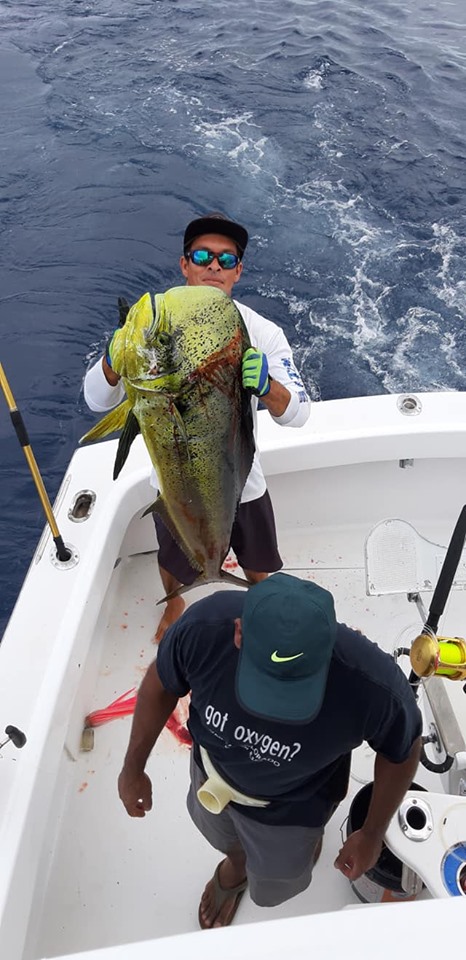 Mahi Mahi/Dorado on board the Good Day Too 