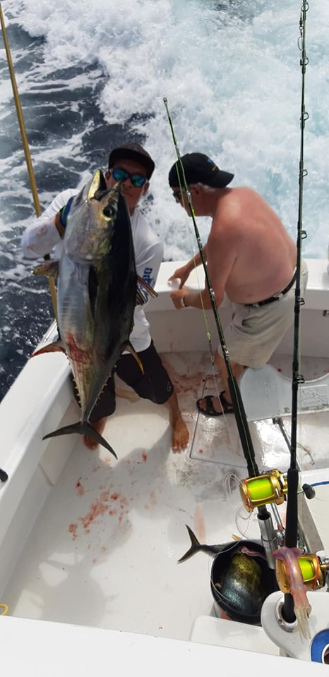 Yellow Fin Tuna Los Suenos Costa Rica