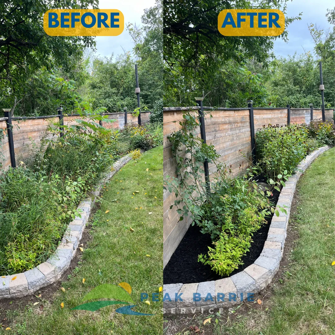 Barrie Garden Maintenance