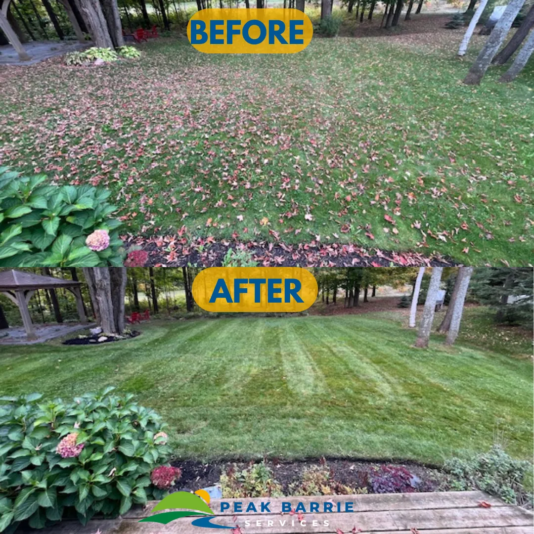 {{ custom_values.service_1 }} in {{custom_values.biz_area_1})