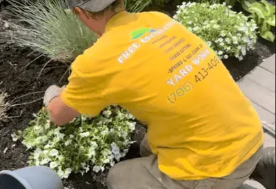 Garden Maintenance in Simcoe County