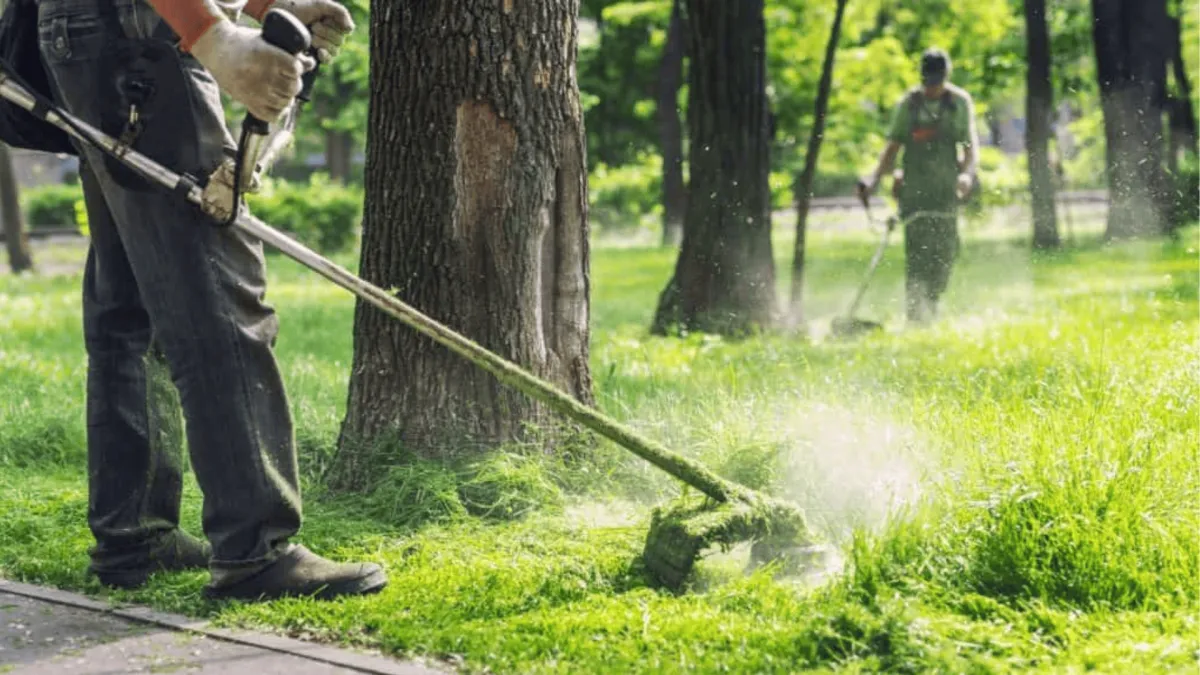 Sod Installation in Simcoe County