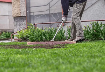 Sod Installation in Simcoe County