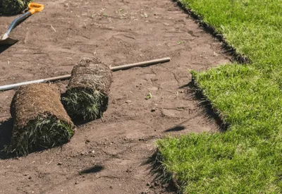 {{ custom_values.service_1 }} in {{custom_values.biz_area_1})