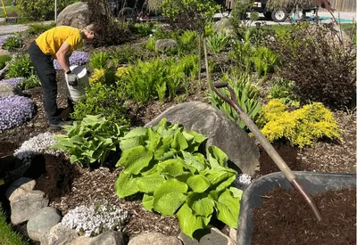 {{ custom_values.service_1 }} in {{custom_values.biz_area_1})