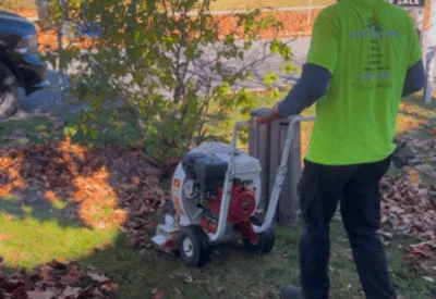 Barrie Spring & Fall Cleanups
