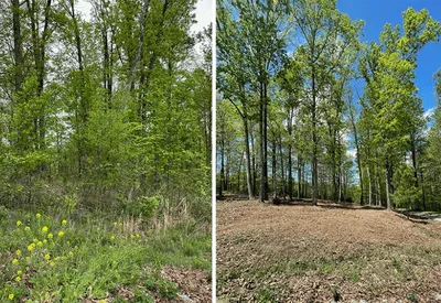 Lawn Care in Simcoe County