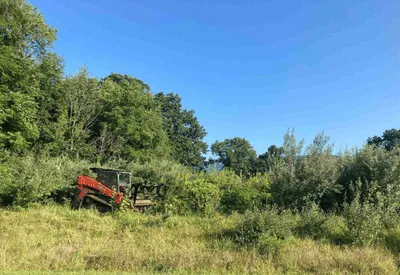 {{ custom_values.service_1 }} in {{custom_values.biz_area_1})