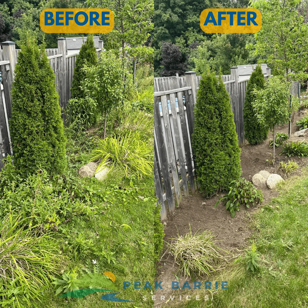 Lawn Care in Simcoe County