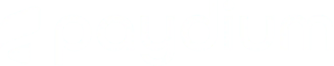 Paydium Brand Logo